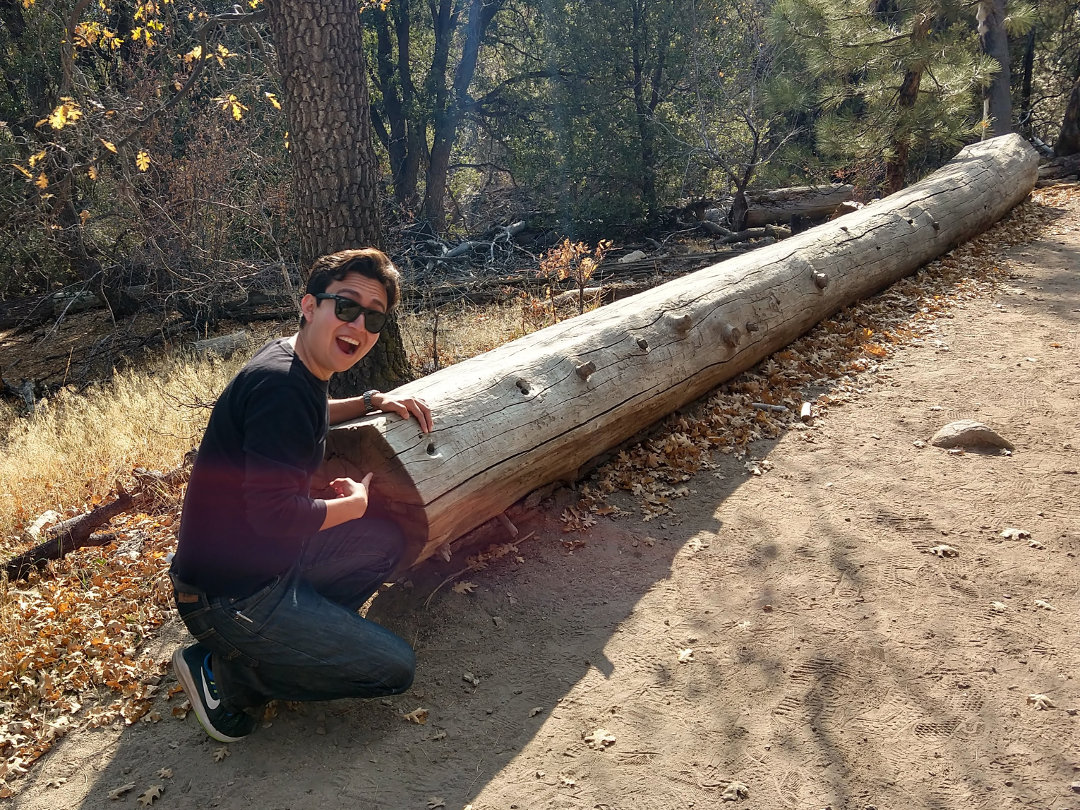Jonathan excitedly points at a particularly large log